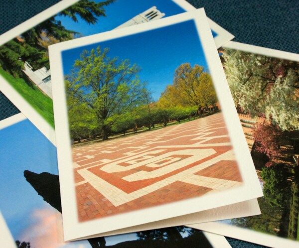 Note Card Collection, Set of 4